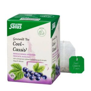 COOL CASSIS Kräutertee Salus Filterbeutel